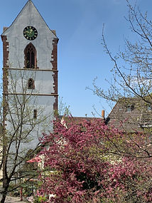 Alte Stadtkirche St Michael.jpeg