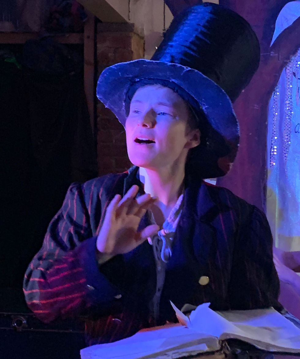 Hylands House - 11.30am performance