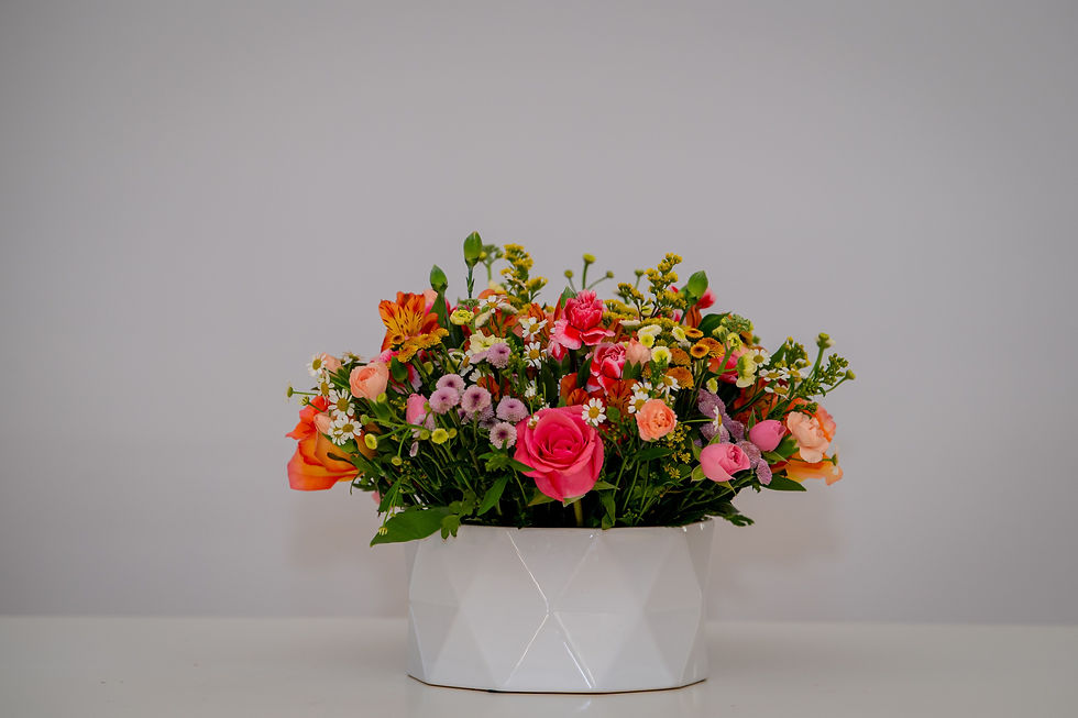Thumbnail: Colorful Garden Burst