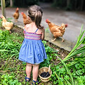 Support Your Local Farmer - Chickens at Buckeye Creek Farm in GA