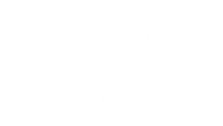 Logo_melodie_blanc-01.png