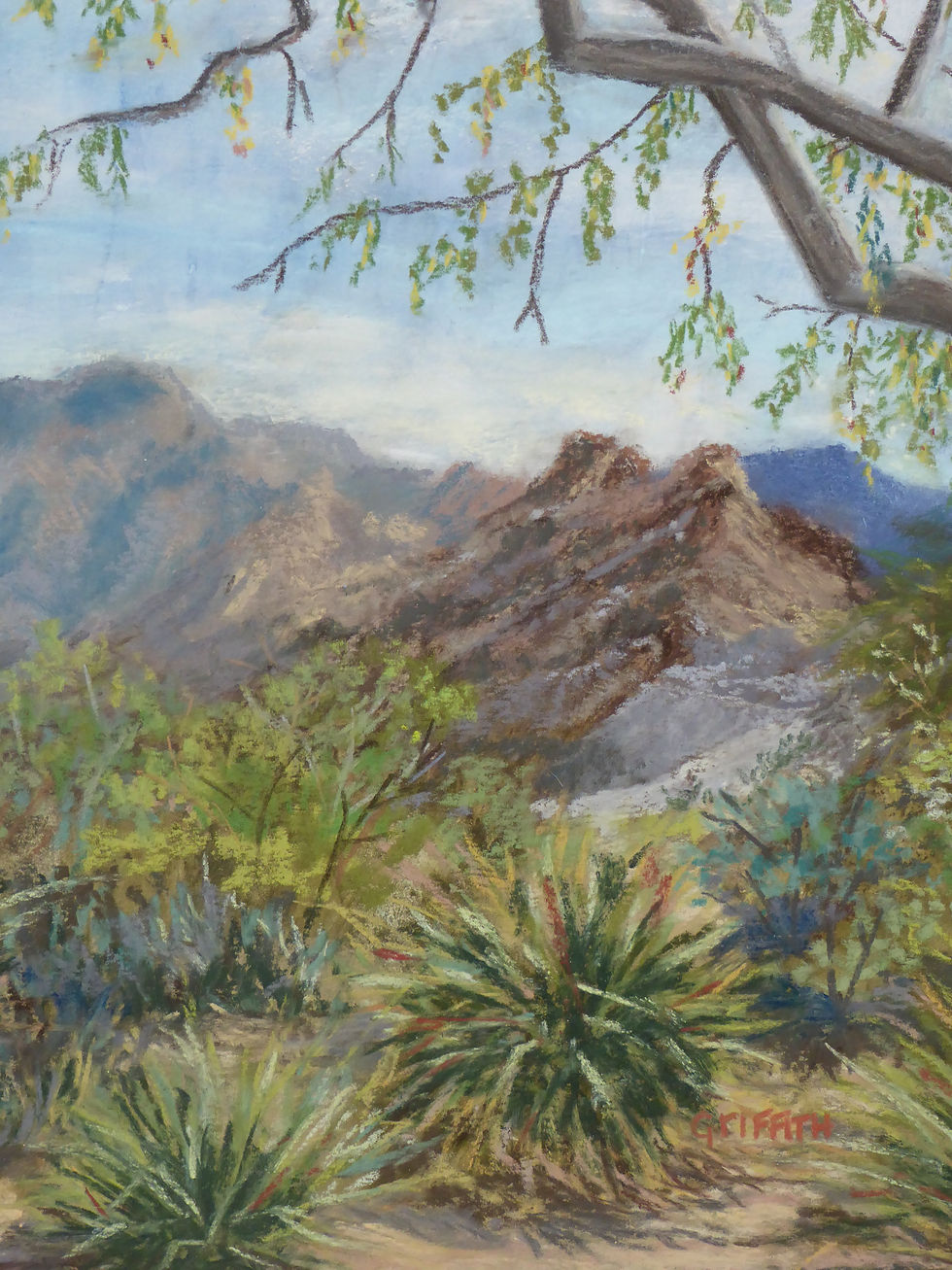 A Living Desert Alcove
