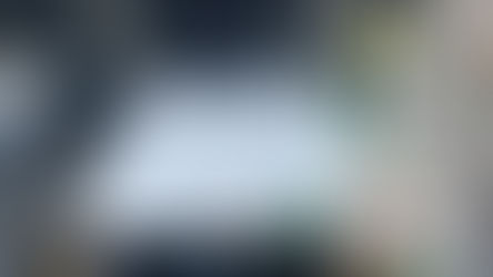 Ile kosztuje pomnik z lastryko?