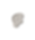 wax-seal-mockup-v5-top.png