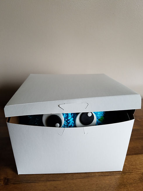 Monster in Box.jpg