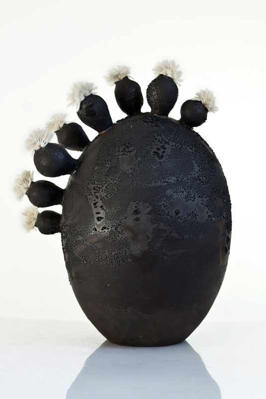 Black n Black Fractal Potatoid