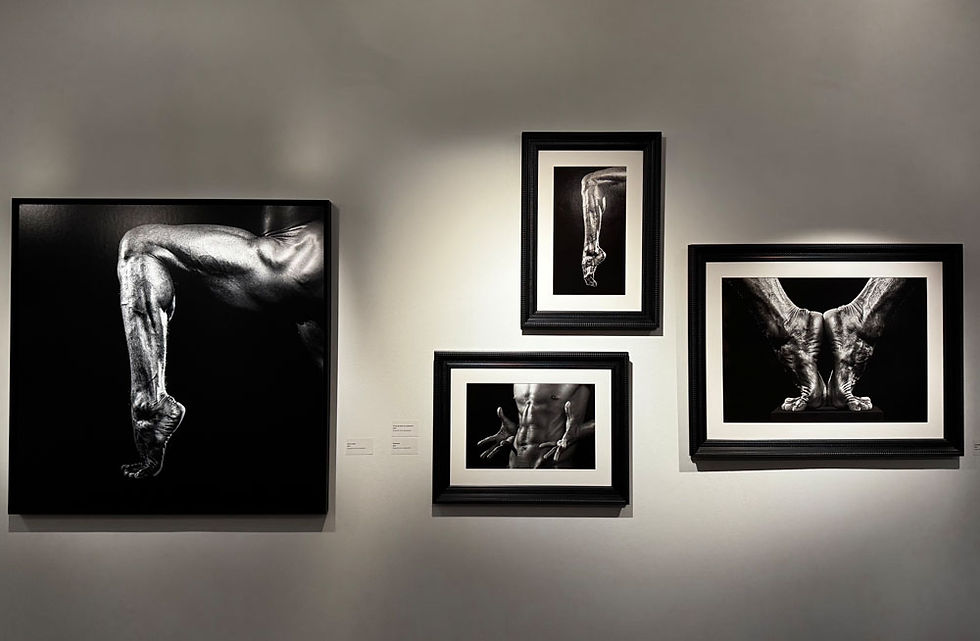 Signature gestuelle, exhibition view, Musée de la Photographie Charles Nègre, Nice, 2026. Courtesy of Dominique Jaussein.