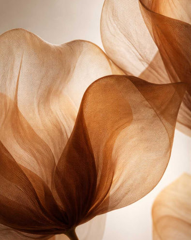 DER MUT DER LIEBE: DIE GEBÄRDE FÜR BRAUN