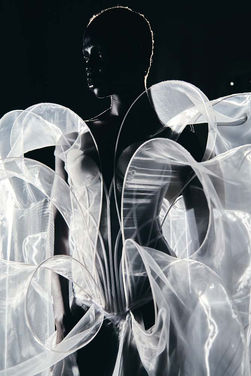 IRIS VAN HERPEN, ah Magazine