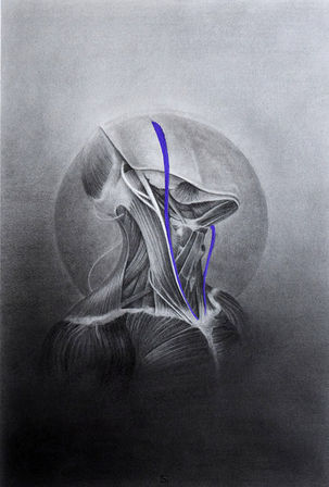Adrenochrome, Graphite and gouache on paper, 2025 59,4 x 42 cm