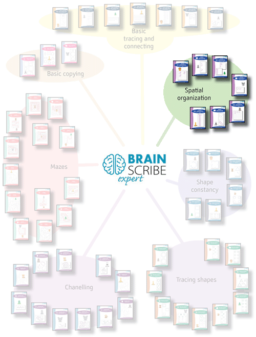 Brainscribe expert scheme W 500 spatial