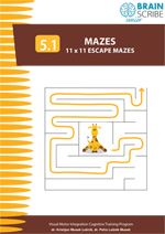 OK Brainscribe senior Mazes 51 W 150.gif