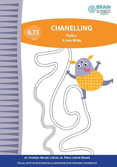 BS EXPERT workbook 673 cover 600.jpg