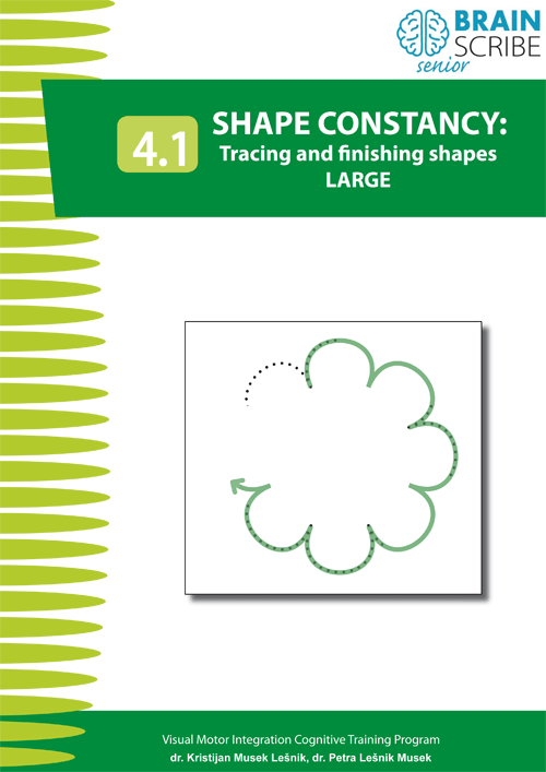 OK Brainscribe senior Shape constancy 41