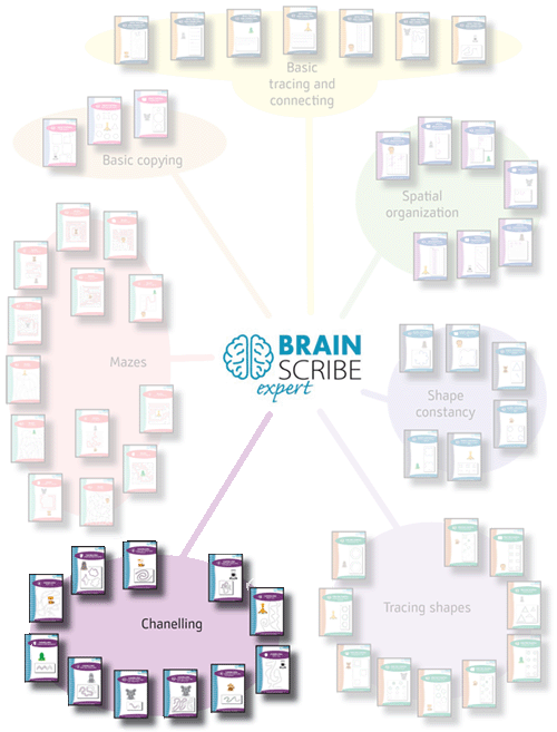 Brainscribe expert scheme W 500 chanelli