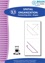 OK Brainscribe expert Spatial organizati