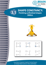 OK Brainscribe expert Shape constancy 31