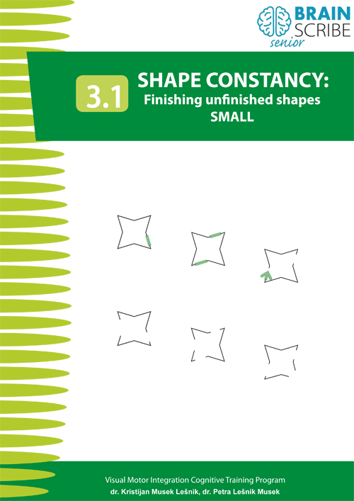 OK Brainscribe senior Shape constancy 31