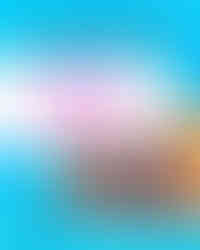 WHAT WE VALUE, WE GROW