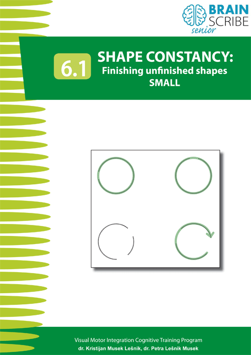 OK Brainscribe senior Shape constancy 61