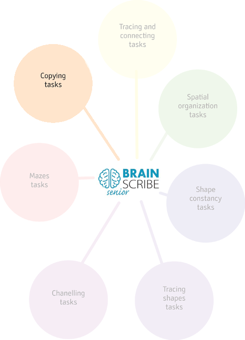 Brainscribe expert scheme W 500 copying