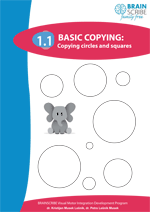 BSFF Basic Copying 11.gif
