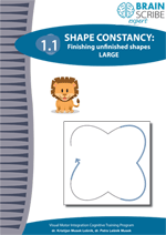 OK Brainscribe expert Shape constancy 11