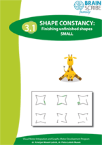 OK Brainscribe family Shape constancy 31