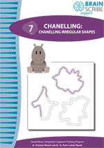 OK Brainscribe expert Chanelling 71 W 15