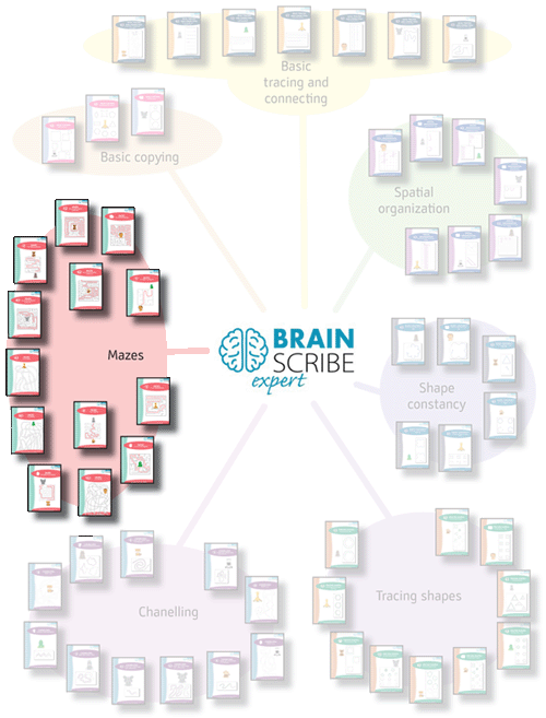 Brainscribe expert scheme W 500 mazes.gi