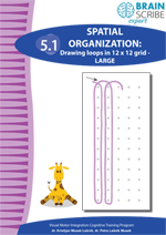 OK Brainscribe expert Spatial organizati