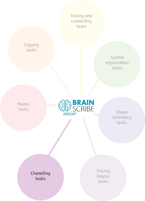 Brainscribe senior scheme W 400 chanelli