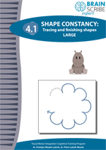 OK Brainscribe expert Shape constancy 41