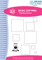 OK Brainscribe expert 12 Copying squares
