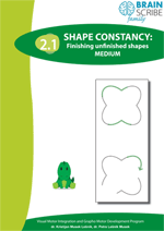 OK Brainscribe family Shape constancy 21