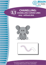 OK Brainscribe expert Chanelling 31 W 15