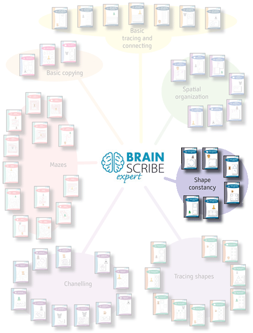 Brainscribe expert scheme W 500 shape co