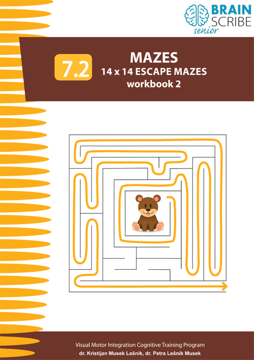 OK Brainscribe senior Mazes 72 W 500.gif