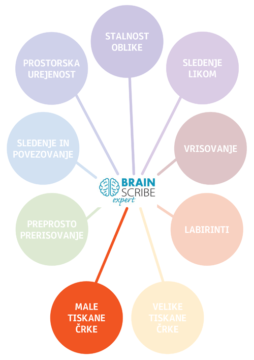 Braisncribe expert struktura MALE TISKAN