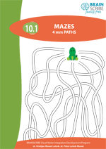 BSFF Mazes 101.gif