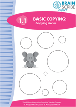 OK Brainscribe expert 11 Copying circles