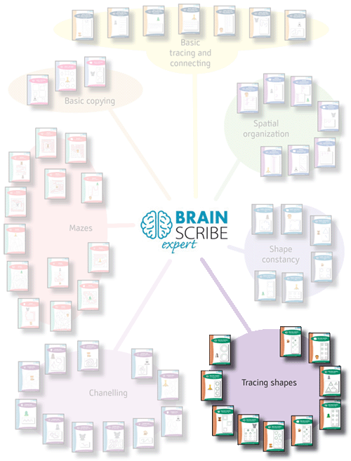 Brainscribe expert scheme W 500 tracing