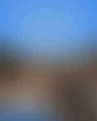 Emotional safety is the foundation of learning