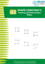OK Brainscribe senior Shape constancy 31