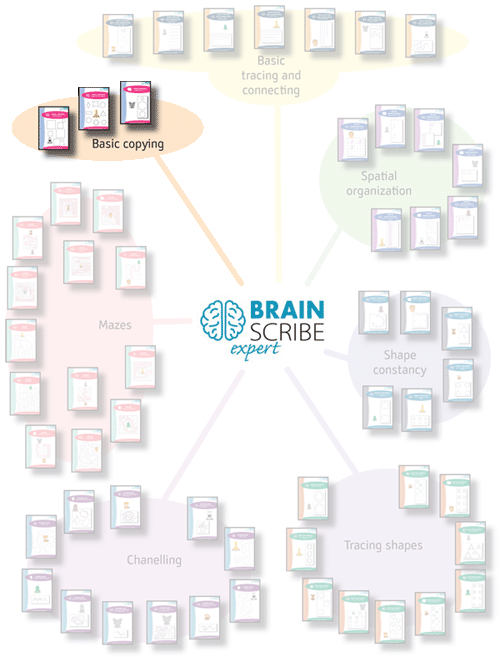 Brainscribe expert scheme W 500 basic co