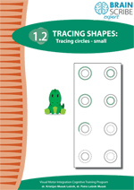 OK Brainscribe expert Tracing shapes 12