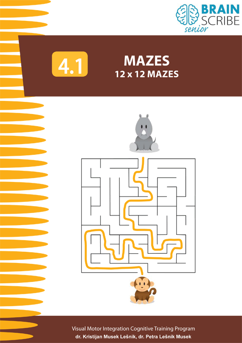 OK Brainscribe senior Mazes 41 W 500.gif