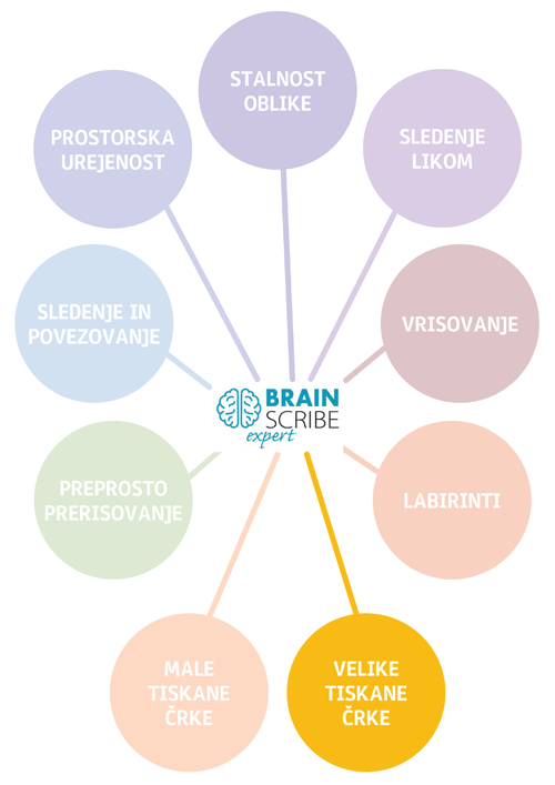 Braisncribe expert struktura VELIKE TISK