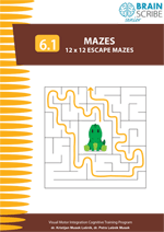 OK Brainscribe senior Mazes 61 W 150.gif