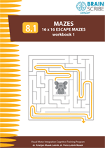 OK Brainscribe senior Mazes 81 W 150.gif